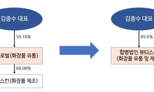 뷰티스킨 이미지