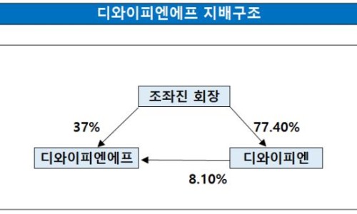 디와이피 이미지