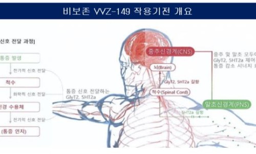 인사이더스 이미지