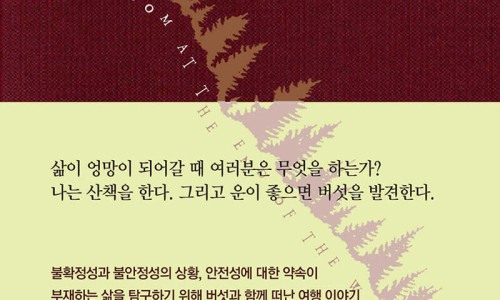 하웁트 이미지