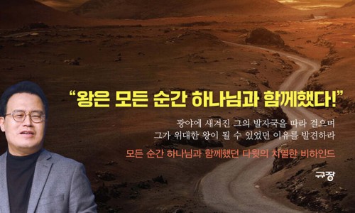 다윗전자 이미지