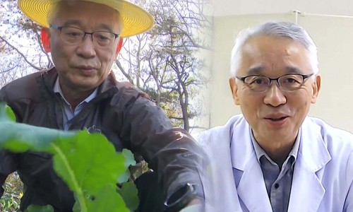임사부 이미지