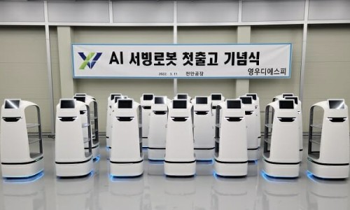 디에스피 이미지