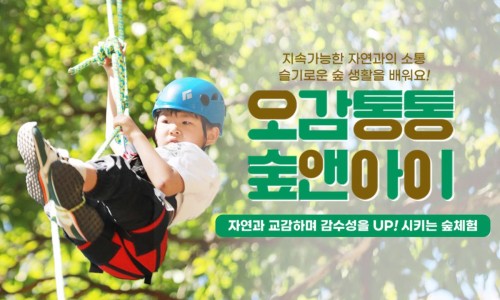 오감통통숲앤아이 이미지