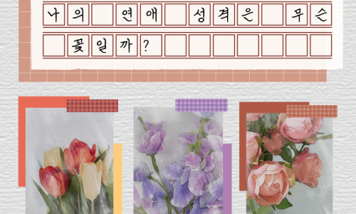 훈이플라워 이미지