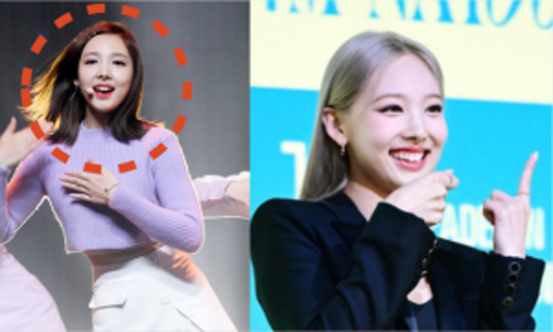 (의)동강의료재단 이미지