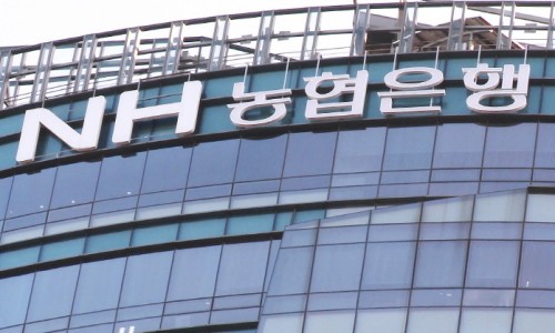 코끼리인력공사 이미지