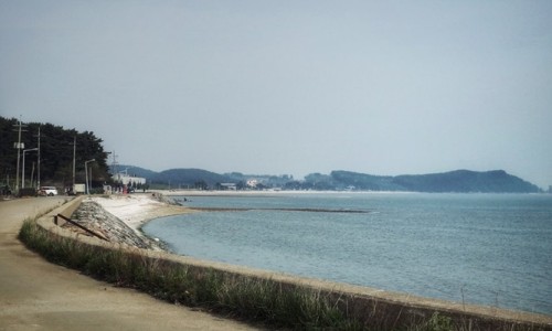 다시캠핑장 이미지