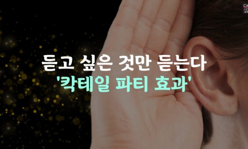 김대수 이미지
