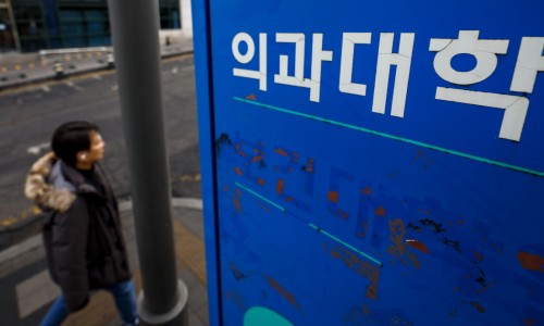 다움커리어 이미지