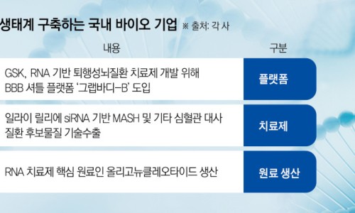 프롬네이처투네이처 이미지