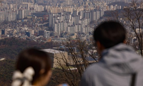 은평나비 이미지