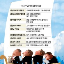 시대SDI 이미지