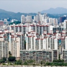 보수종합시장 이미지