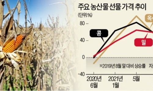 한경이네 농산물 이미지