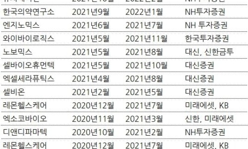 디앤디엔지 이미지