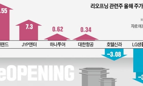 대원소프트 이미지