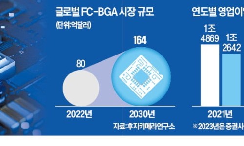 화인칩스 이미지