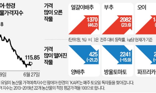 지금;과일 이미지