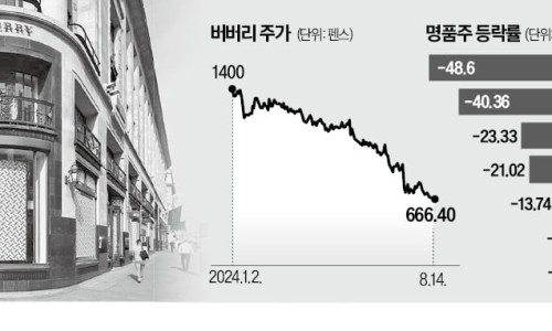 명품차이나 이미지