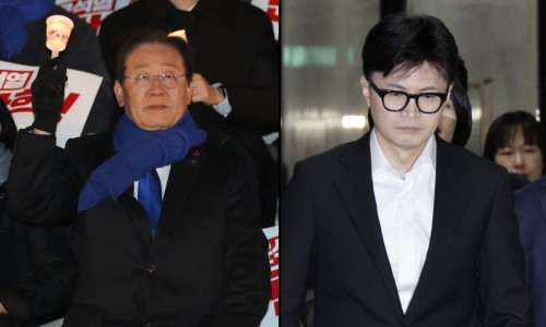 토탈디티 이미지