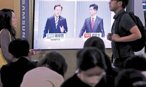 공룡주먹 이미지