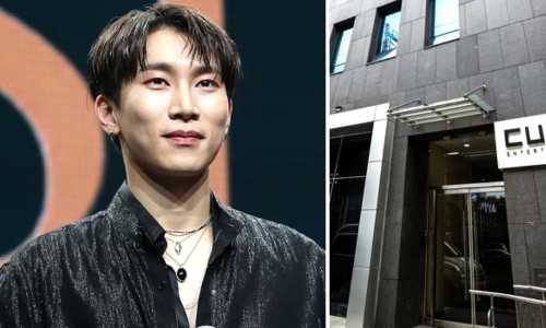 서(SEO) 엔터테인먼트 이미지