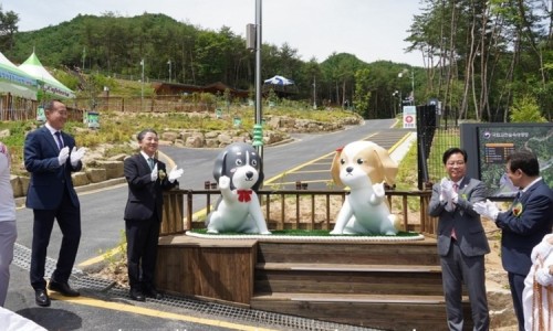 국립김천숲속야영장 이미지