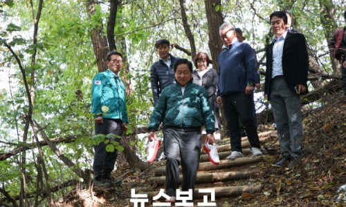 황금산 유아숲체험원 이미지