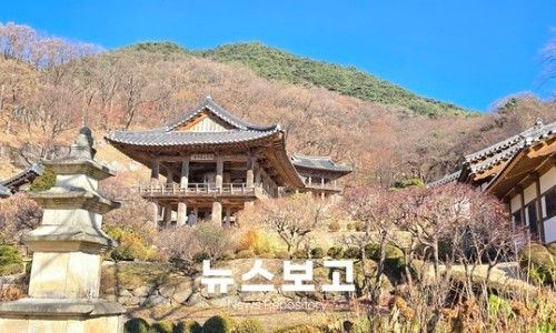 영주전통한우 이미지