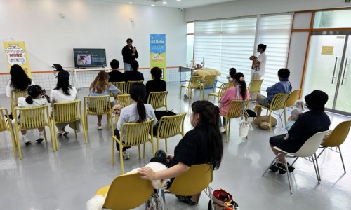 로컬콘텐츠진흥원 이미지