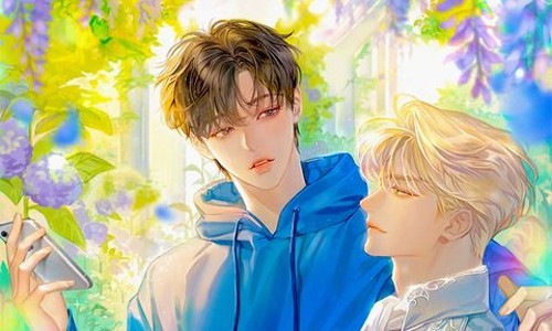 이미지