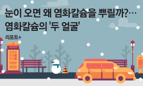 서산셀세모 이미지