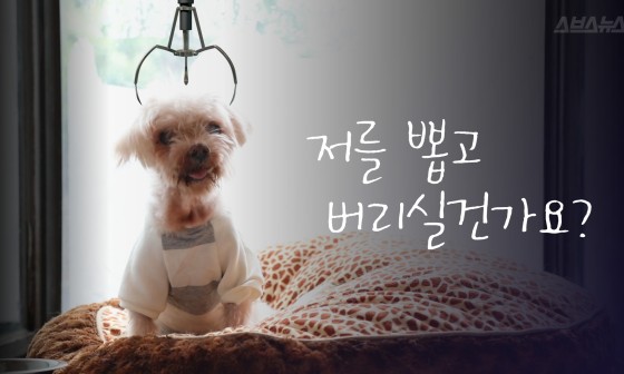 유기인형 이미지