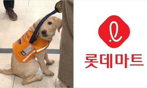 올인테리어 이미지
