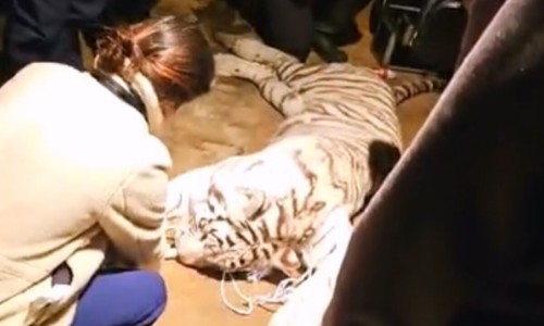카페온정 이미지