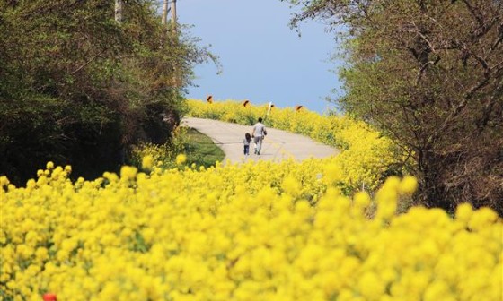 강남스마트 이미지