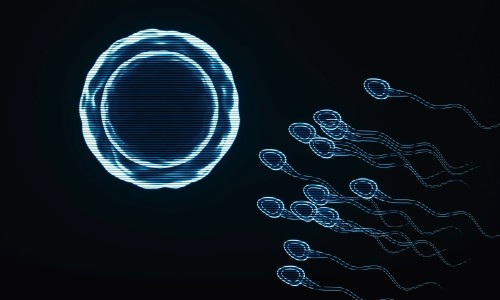 웨일커뮤니케이션즈 이미지