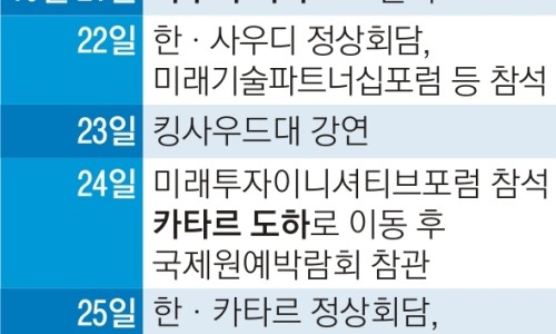 디에스시티 이미지