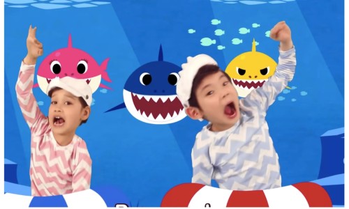 (주)에스와이코리아 이미지
