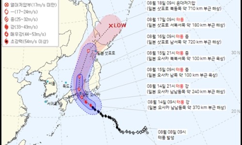 잼버리항공 이미지