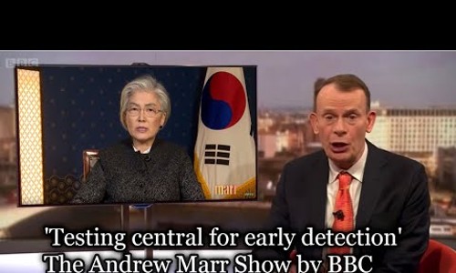와우케이크 이미지