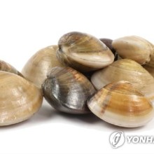 백합 이미지