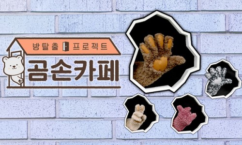 곰손카페 이미지