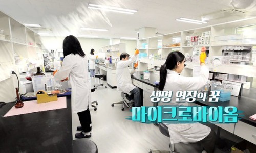바이코코 이미지
