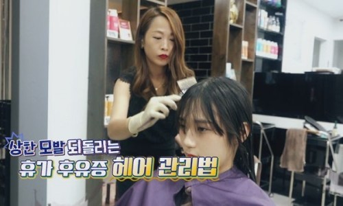 보스헤어 이미지