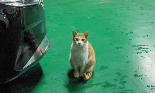 깔치다방 이미지