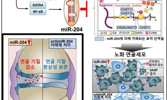 플러스테크 이미지