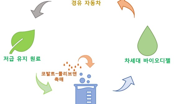 바이오에너지개발 이미지