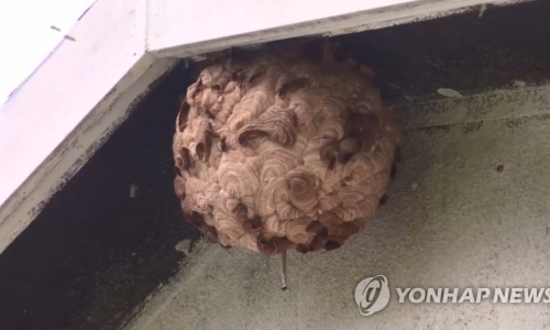 춘천양봉원 이미지